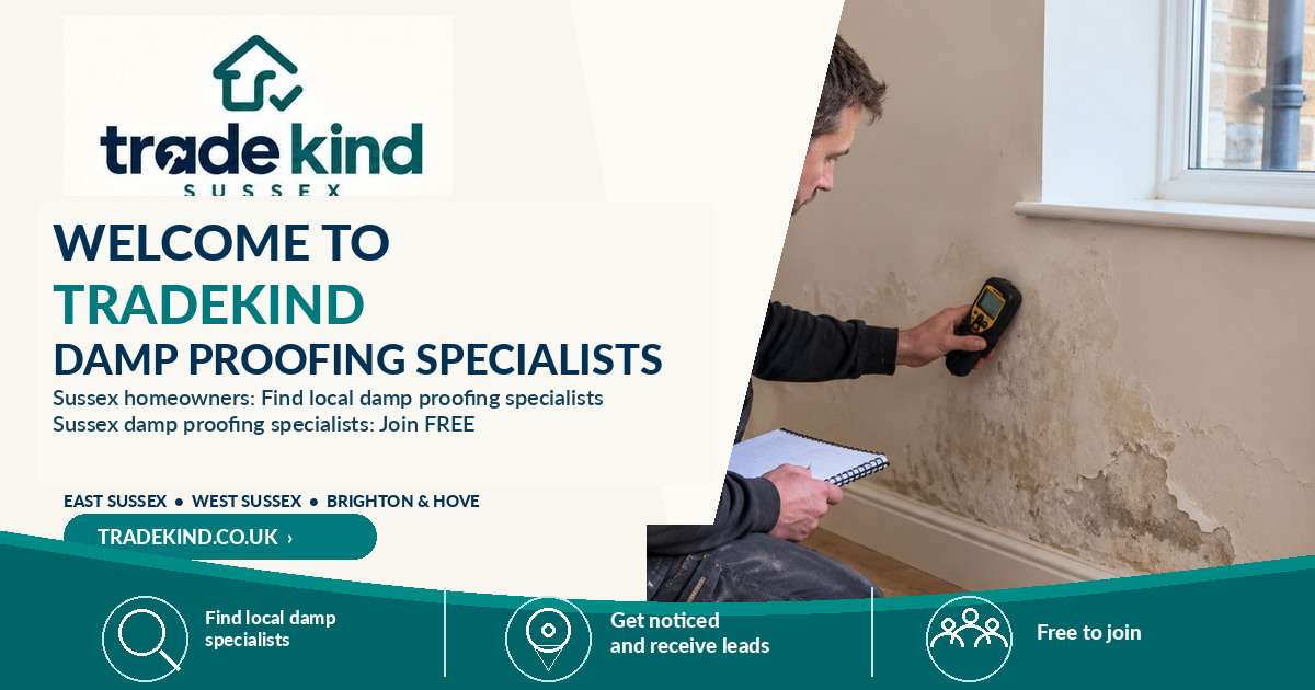 Damp specialist inspecting moisture staining at the base of an internal wall