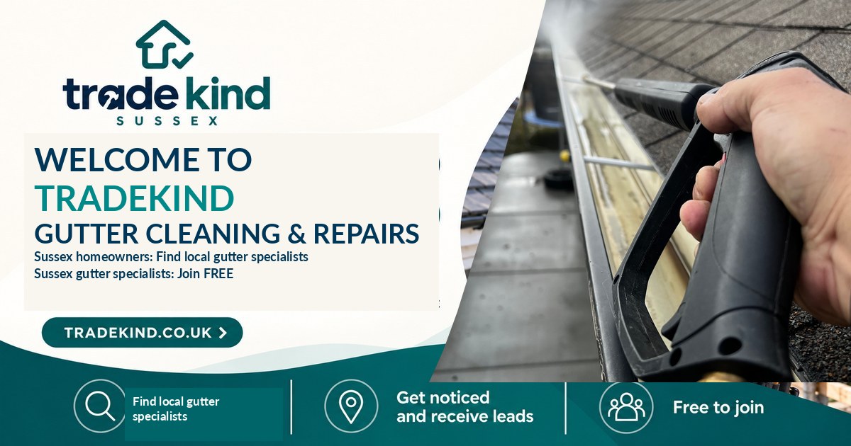 Gutter specialist inspecting a rainwater gutter and downpipe on a UK house
