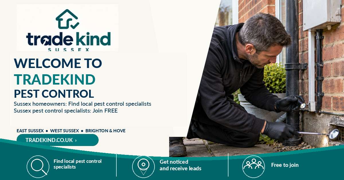 Pest control technician inspecting a likely entry point at the outside of a UK house